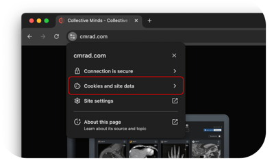Browser manage cookies and site data
