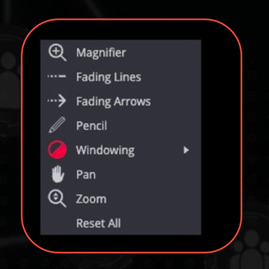Collective Minds Viewer right mouse tools
